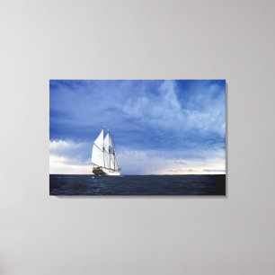 Segelschiff auf der Ostsee Leinwanddruck