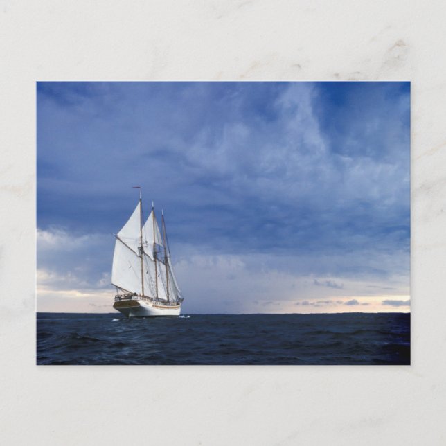 Segelschiff auf der Ostsee Postkarte (Vorderseite)