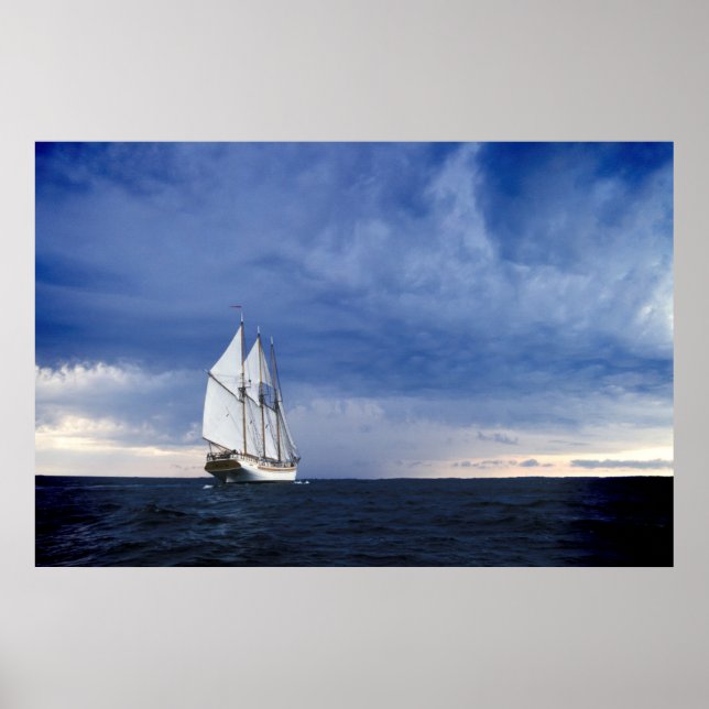 Segelschiff in der Ostsee Poster (Vorne)