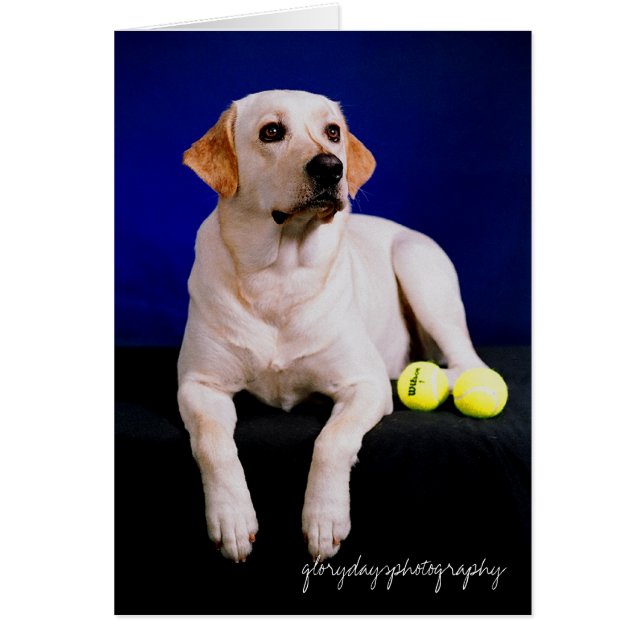 Segelstudio, Glorydaysphotografie (Vorne)