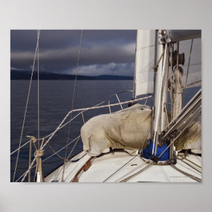 Segeltörn in einen Sturm - Kunstdruckerei Poster