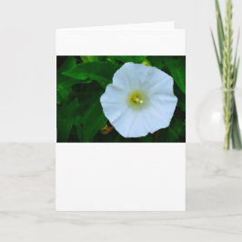 Segen der Natur, Karte