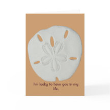 Segen für wahre Freunde Sand Dollar