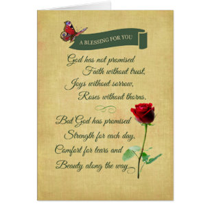 Segen, Rote Rose, Schmetterling