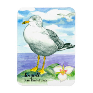 Sego Lily Seagull Staat Bird of Utah Magnet