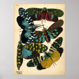 Seguise Art Noveau Vintag Lanternfly Poster
