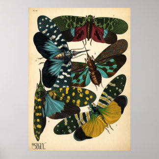 Seguise Art Noveau Vintag Lanternfly Poster