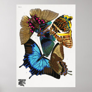 Séguy-Vintage Schmetterlinge (1925) Poster