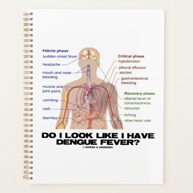 Sehe ich aus, als hätte ich Dengue-Fieber? (Anatom Planer (Vorderseite)