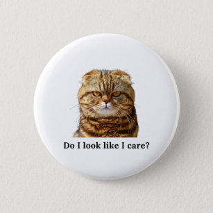 "Sehe ich aus, als kümmere ich mich" Grumpy Cat Button