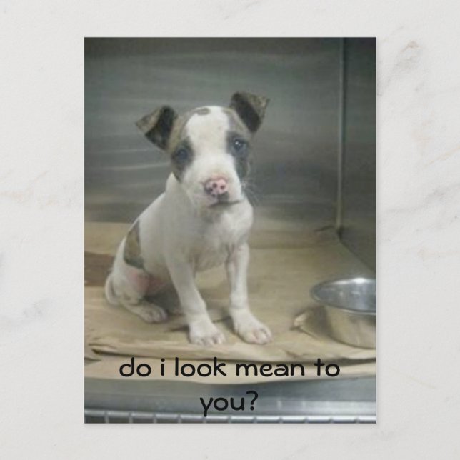 Sehe ich dir gemein aus? postkarte (Vorderseite)