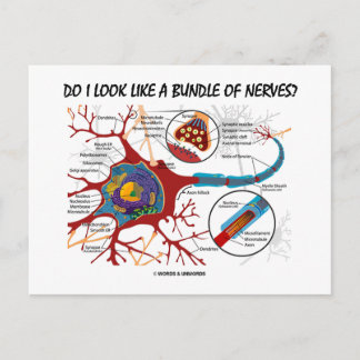 Sehe ich wie ein Bündel Nerven aus? Neuron Synapse Postkarte