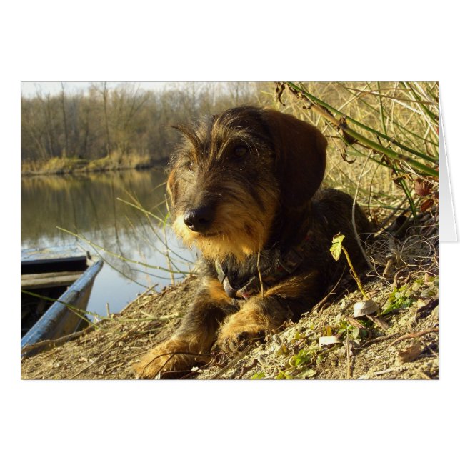 Sehen (Vorderseite (Horizontal))