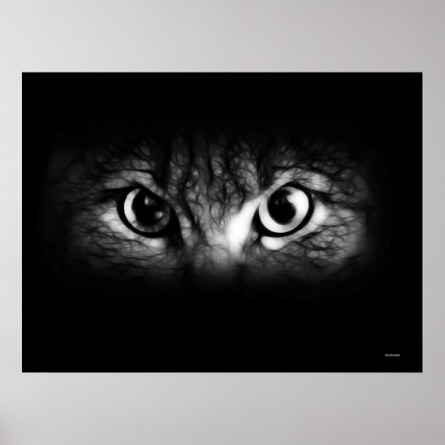 sehen poster (Vorne)