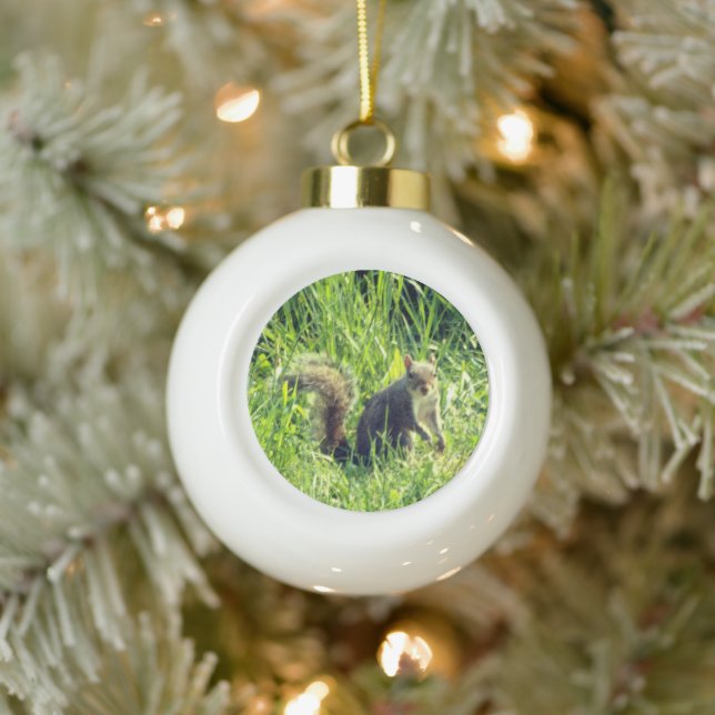 Sehen Sie Ihr Eichhörnchen Keramik Ball Ornament (Baum)