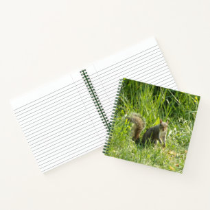 Sehen Sie Ihr Eichhörnchen-SpiralNotebook Notizbuch