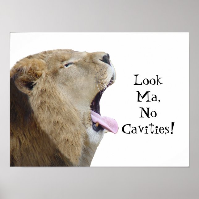 Sehen Sie Ma, keine Kavities! Lion Poster Print (Vorne)