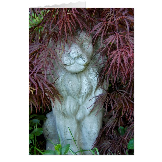 Sehen Sie mich Roar (Vorne)