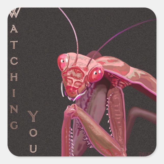 Sehen Sie sich an - rosa Version Quadratischer Aufkleber (Vorderseite)