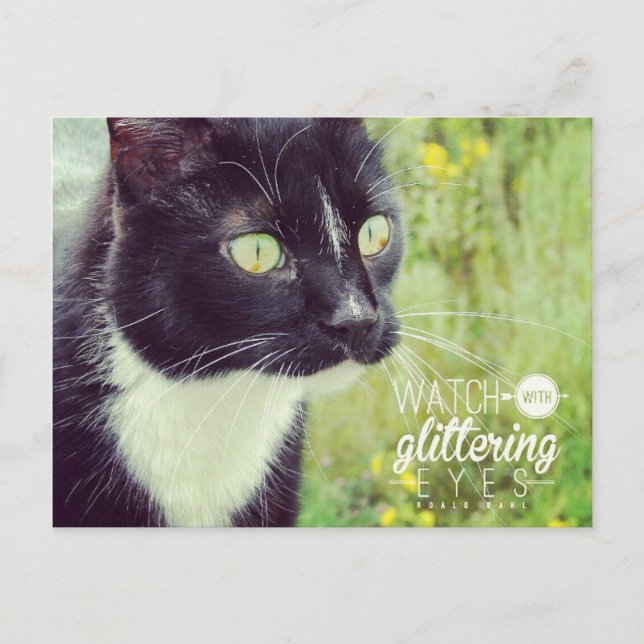 Sehen Sie sich die Glittering Eyes Cat an Postkarte (Vorderseite)