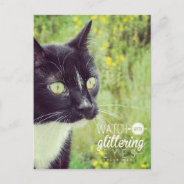 Sehen Sie sich die Glittering Eyes Cat an Postkarte