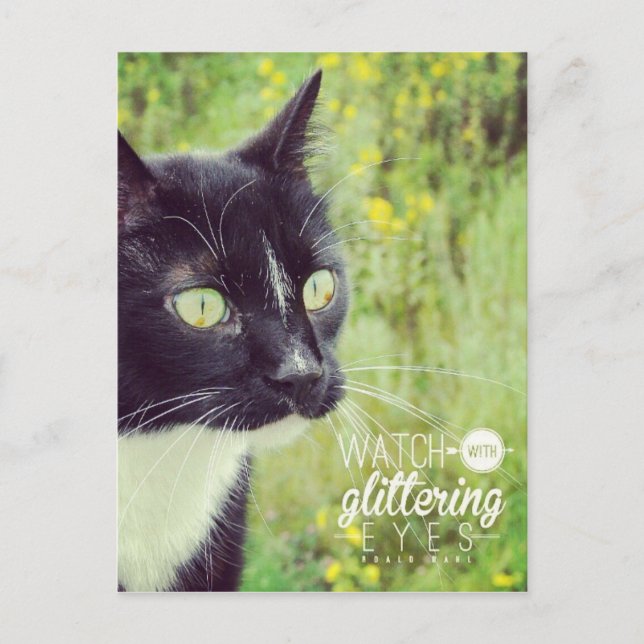 Sehen Sie sich die Glittering Eyes Cat an Postkarte (Vorderseite)