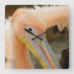 Sehen Sie sich die Pelican Wall Clock an Quadratische Wanduhr