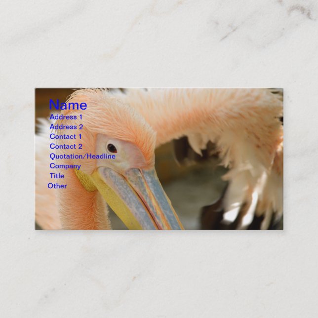 Sehen Sie sich Ihre Pelican Business Card an Visitenkarte (Vorderseite)