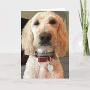 SEHEN SIE SICH MEINE AUGEN AN ***FREUEN SIE SICH A KARTE