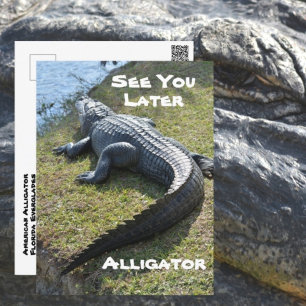 Sehen Sie sich Sie später Alligator Everglades Fot Postkarte