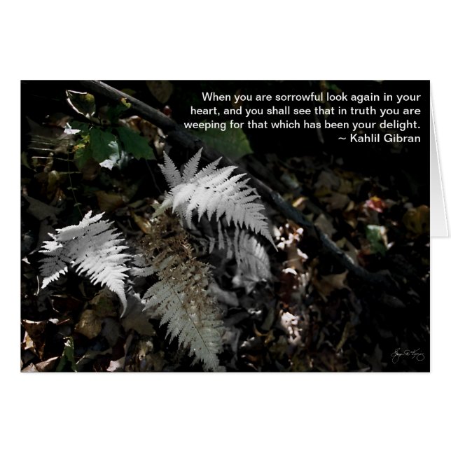 Sehen Sie sich wieder in Ihrem Herzen an (Vorderseite (Horizontal))