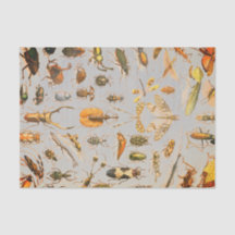 SEHR COOLES INSEKT Seidenpapier