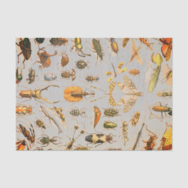 SEHR COOLES INSEKT Seidenpapier