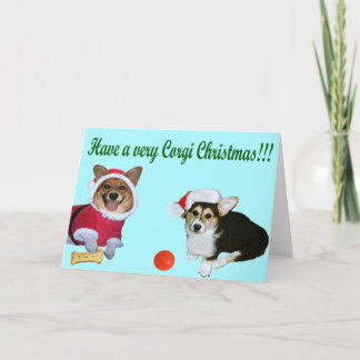 Sehr Corgi-Weihnachten M u. G-Türkis-Karte Feiertagskarte