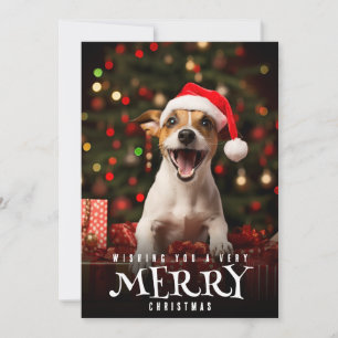 Sehr froher Weihnachts-Jack Russel Terrier Dog Feiertagskarte