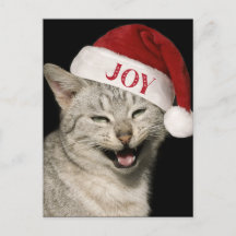 Sehr Funny Santa Cat Laugh Foto Weihnachten