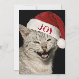 Sehr Funny Santa Cat Laugh Foto Weihnachten