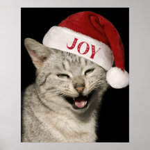 Sehr Funny Santa Cat Laugh Foto Weihnachten