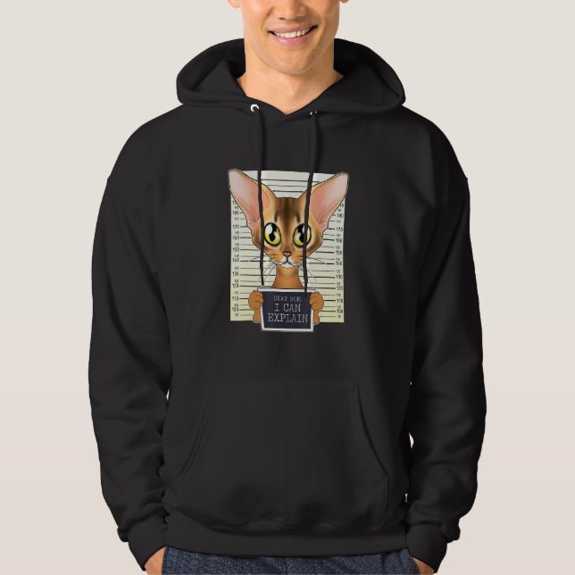 Sehr geehrte Mama, ich kann erklären, ich Abyssini Hoodie (Vorderseite)