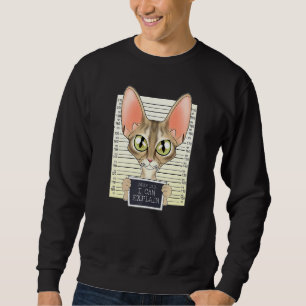 Sehr geehrter Vater, ich kann erklären, ich Devon  Sweatshirt