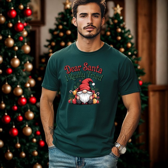 Sehr geehrter Weihnachtsmann I wirklich versucht F T-Shirt (Von Creator hochgeladen)
