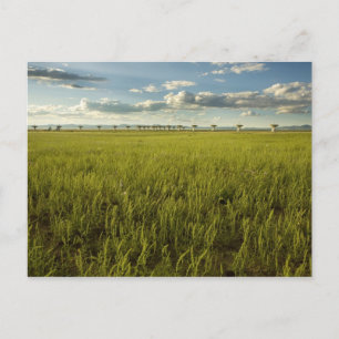 Sehr großes Array Postkarte