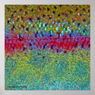 Sehr großes Regenbogenforelle-Poster Poster