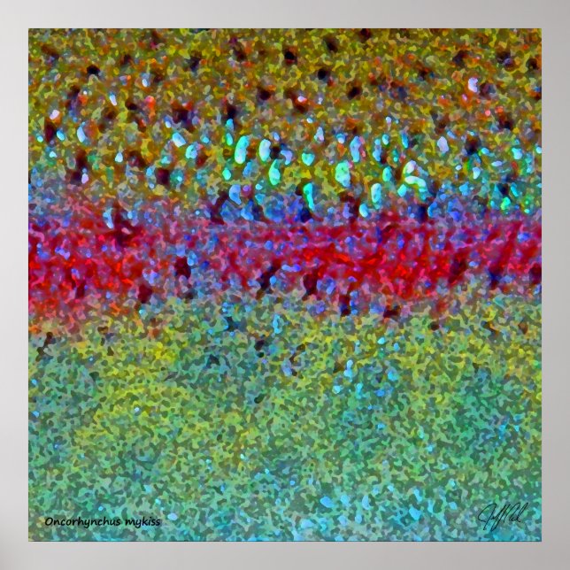 Sehr großes Regenbogenforelle-Poster Poster (Vorne)