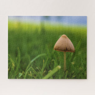 Sehr herausforderndes Puzzle im Pilz