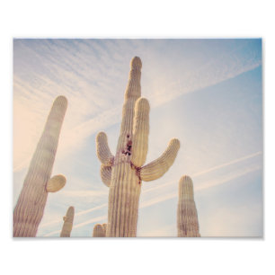 Sehr hoher Foto-Druck der Saguaro-Kaktus-  Fotodruck