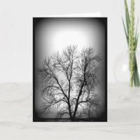 Sehr hoher Schwarzweiss-Baum, der an Sie denkt