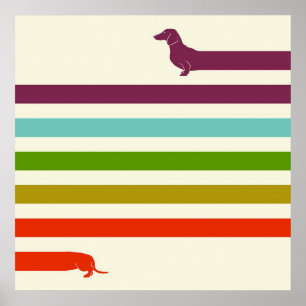 Sehr langer Dachshund Bunter Husky Liebhaber Poster