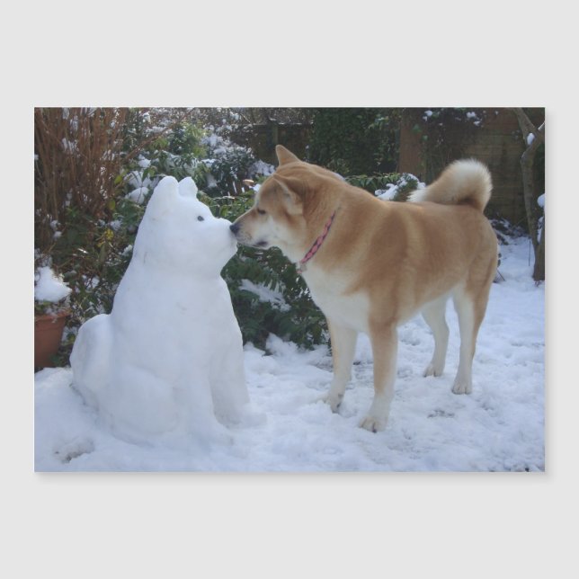 sehr niedlich akita küsst Schneemann akita Hund Magnetkarte (Vorderseite)