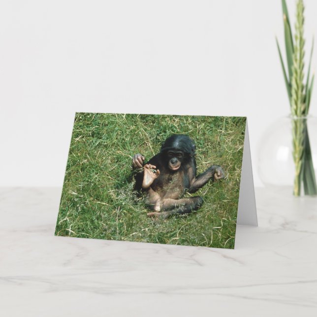 Sehr Niedliche Baby Bonobo Ape Grußkarte Karte (Vorderseite)